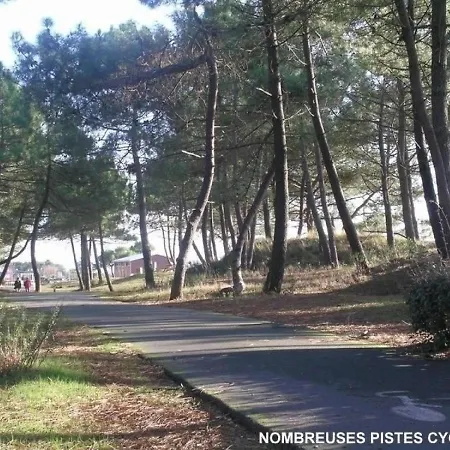 La Palmyre *
